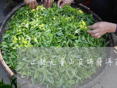 土林无量山贡饼普洱茶/2023092707602