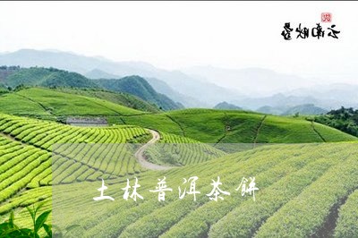 土林普洱茶饼/2023081868303