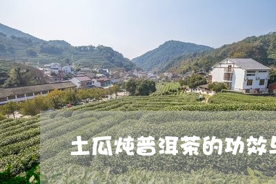 土瓜炖普洱茶的功效与禁忌/2023112538393