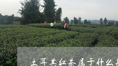 土耳其红茶属于什么茶/2023071437483