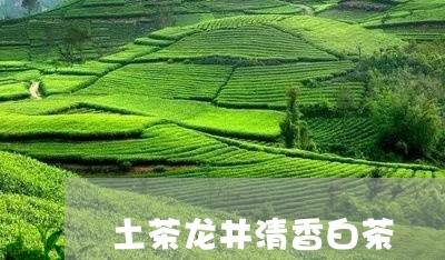 土茶龙井清香白茶/2023061650473