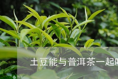 土豆能与普洱茶一起吃/2023061973847