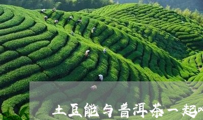 土豆能与普洱茶一起吃/2023093037350