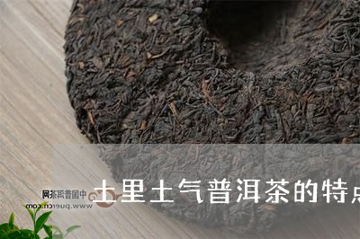 土里土气普洱茶的特点是/2023050451826