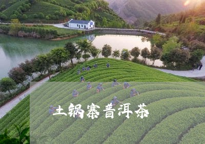 土锅寨普洱茶/2023042595650