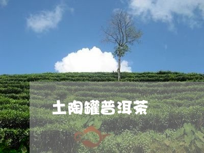 土陶罐普洱茶/2023042629744