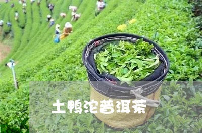 土鸭沱普洱茶/2023102546049