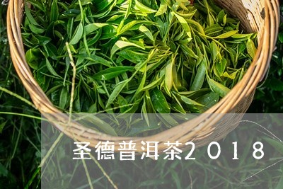 圣德普洱茶2018/2023091470505