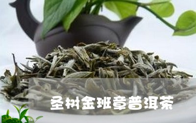 圣树金班章普洱茶/2023101640827