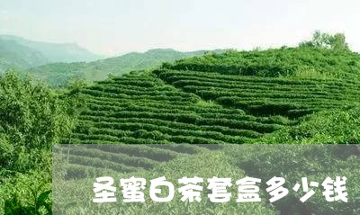 圣蜜白茶套盒多少钱/2023071722605