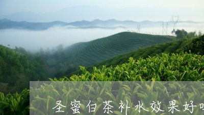 圣蜜白茶补水效果好吗/2023092814047