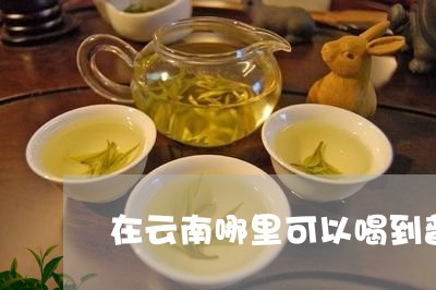 在云南哪里可以喝到普洱茶/2023082545848