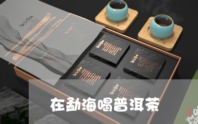 在勐海喝普洱茶/2023082957171