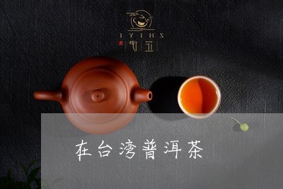 在台湾普洱茶/2023042675639