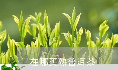 在哪买熟普洱茶/2023101683827