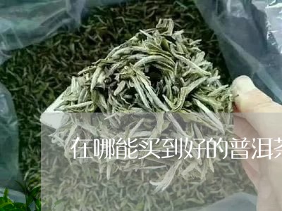 在哪能买到好的普洱茶/2023062050593