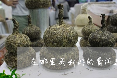 在哪里买到好的普洱茶/2023062173816