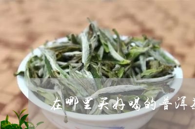 在哪里买好喝的普洱茶/2023062953703