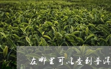 在哪里可以查到普洱茶价格/2023082758462