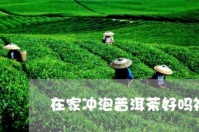 在家冲泡普洱茶好吗视频/2023110193614