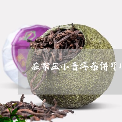 在家压小普洱茶饼可以吗/2023121545247