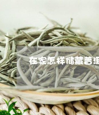 在家怎样储藏普洱茶饼/2023080239383