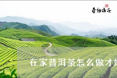 在家普洱茶怎么做才好喝/2023082715916