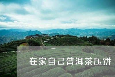 在家自己普洱茶压饼/2023120506139