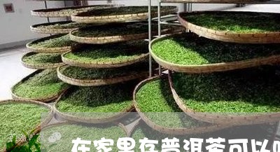 在家里存普洱茶可以吗/2023072266392