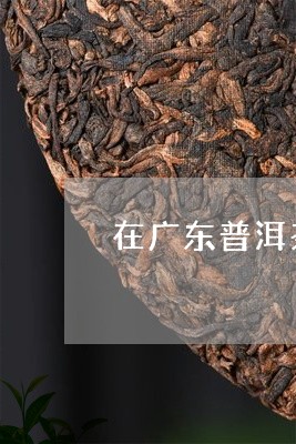 在广东普洱茶怎样存放合适/2023110237140