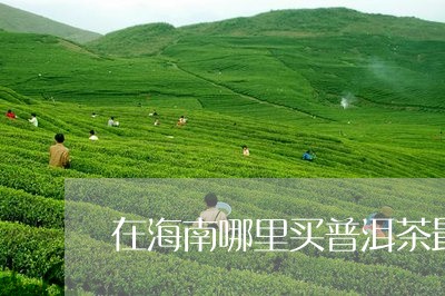 在海南哪里买普洱茶最好呢/2023082525929