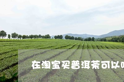 在淘宝买普洱茶可以吗/2023062046059