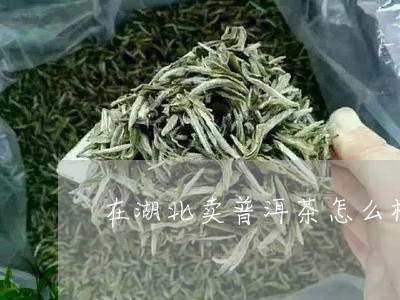 在湖北卖普洱茶怎么样/2023092803049