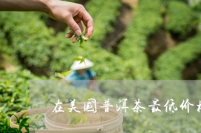 在美国普洱茶最低价格/2023093095059