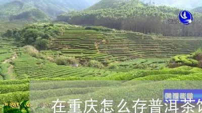 在重庆怎么存普洱茶饼/2023121597262