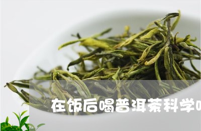 在饭后喝普洱茶科学吗/2023093025168