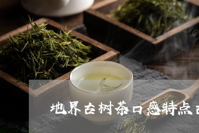 地界古树茶口感特点古茶树茶叶功效/2023060438481