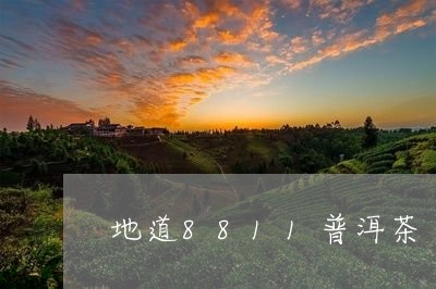 地道8811普洱茶/2023070915815