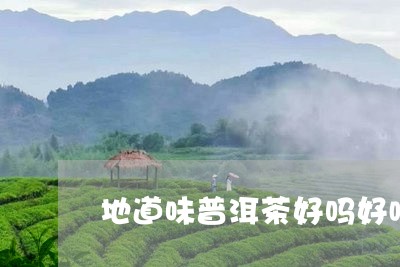 地道味普洱茶好吗好喝吗/2023110507260