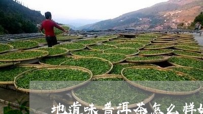 地道味普洱茶怎么样好喝吗/2023110594835