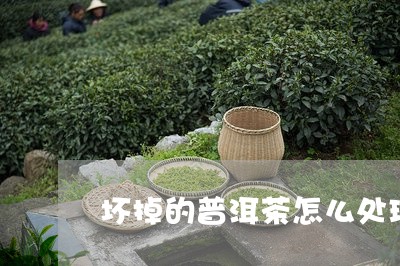 坏掉的普洱茶怎么处理最好/2023082985836