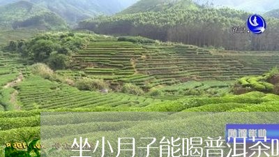 坐小月子能喝普洱茶吗/2023072222638