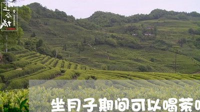 坐月子期间可以喝茶吗/2023060996148