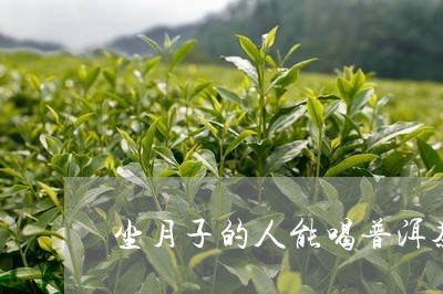 坐月子的人能喝普洱茶/2023120779270