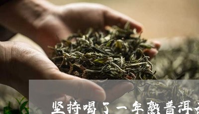 坚持喝了一年熟普洱茶/2023072355026