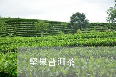 坚果普洱茶/2023090686248