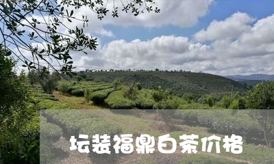 坛装福鼎白茶价格/2023061669814