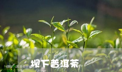 坝下普洱茶/2023102574936