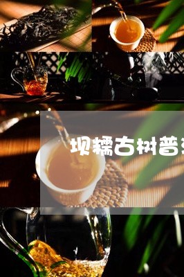 坝糯古树普洱茶的特点/2023061660593