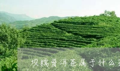 坝糯普洱茶属于什么茶/2023121557472